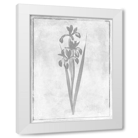 Monochrome Floral Cleaner 4 White Modern Wood Framed Art Print by Grey, Jace