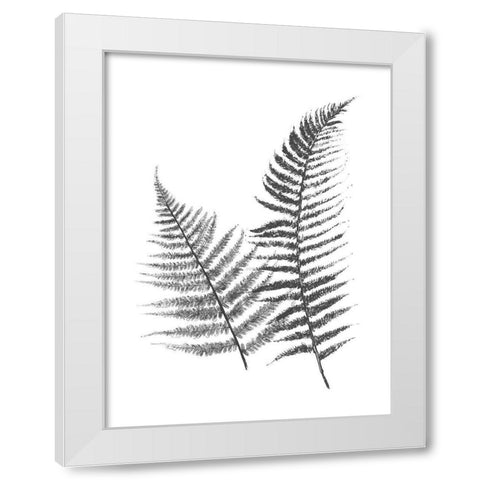 Monochromatic Ferns 1 White Modern Wood Framed Art Print by Grey, Jace