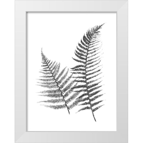 Monochromatic Ferns 1 White Modern Wood Framed Art Print by Grey, Jace