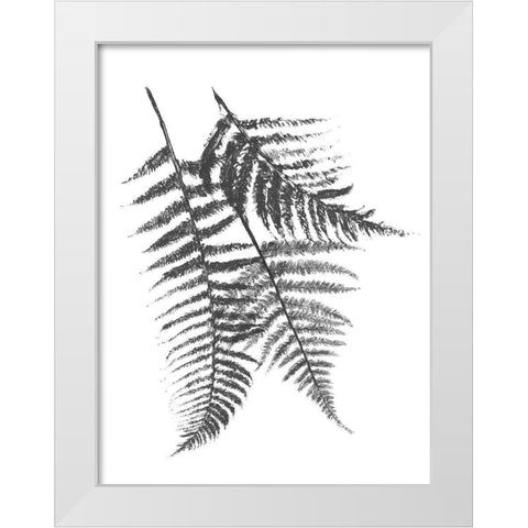 Monochromatic Ferns 2 White Modern Wood Framed Art Print by Grey, Jace