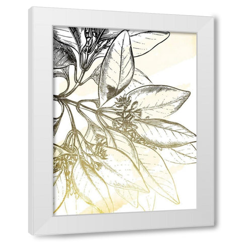 Fade Botanicals White Modern Wood Framed Art Print by Grey, Jace