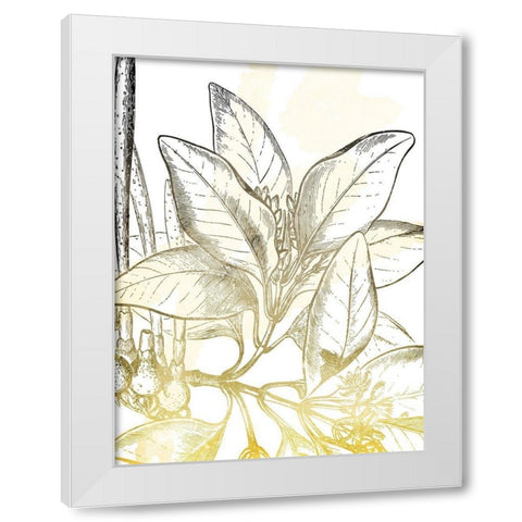 Fade Botanicals Mate White Modern Wood Framed Art Print by Grey, Jace