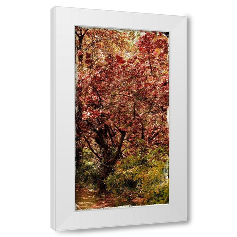 Ny Fall Trees White Modern Wood Framed Art Print by Grey, Jace