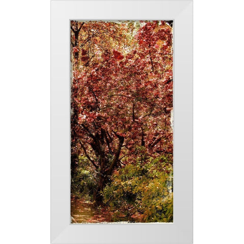 Ny Fall Trees White Modern Wood Framed Art Print by Grey, Jace