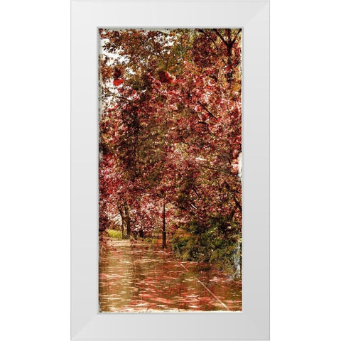 Ny Fall Trees Mate White Modern Wood Framed Art Print by Grey, Jace