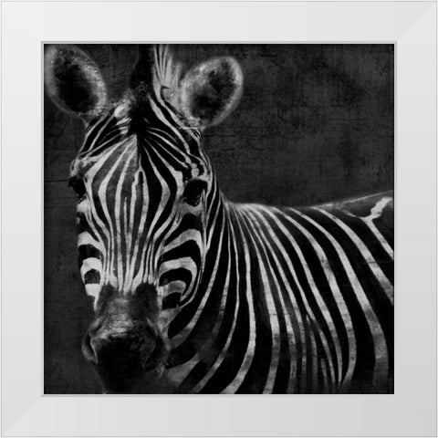 Zebra Black And White White Modern Wood Framed Art Print by Grey, Jace