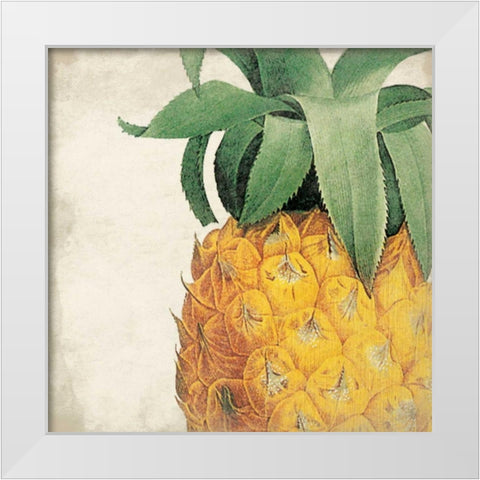 Pineapple White Modern Wood Framed Art Print by Grey, Jace