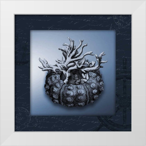 Nautical blue bordered White Modern Wood Framed Art Print by Grey, Jace