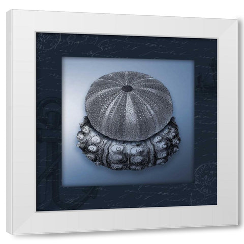 Nautical blue mate Bordered White Modern Wood Framed Art Print by Grey, Jace