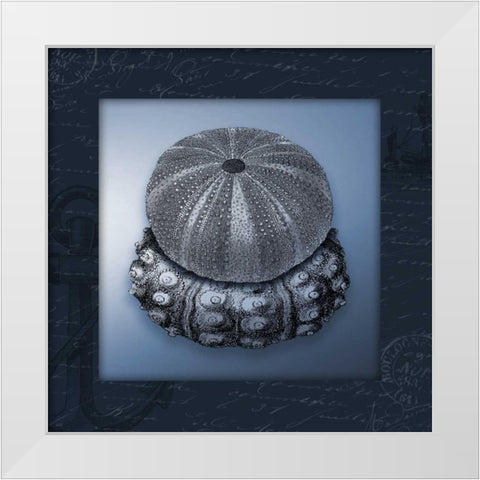 Nautical blue mate Bordered White Modern Wood Framed Art Print by Grey, Jace
