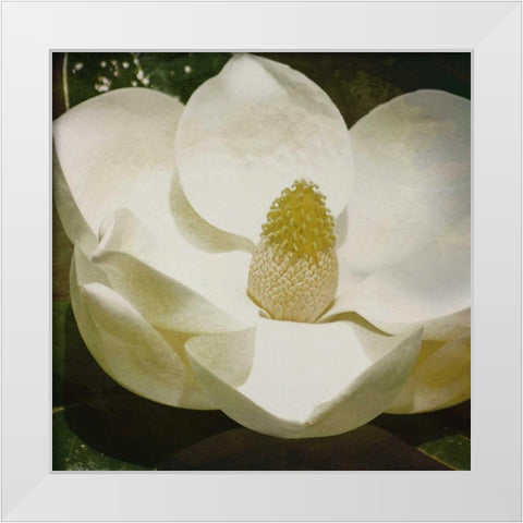 MAG Mate White Modern Wood Framed Art Print by Grey, Jace