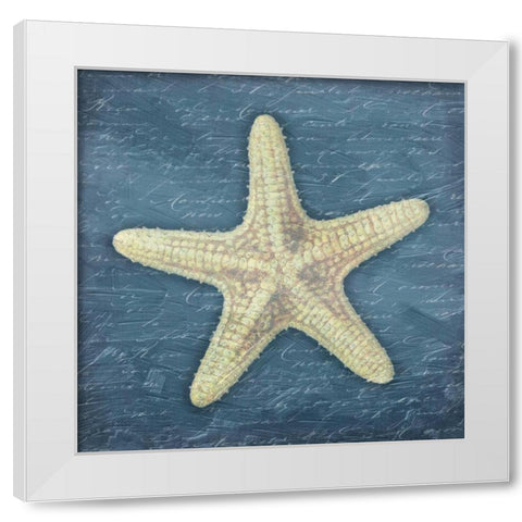 Star Fish Light Blue White Modern Wood Framed Art Print by Grey, Jace
