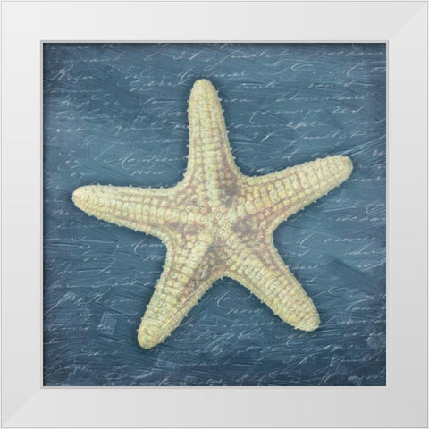 Star Fish Light Blue White Modern Wood Framed Art Print by Grey, Jace