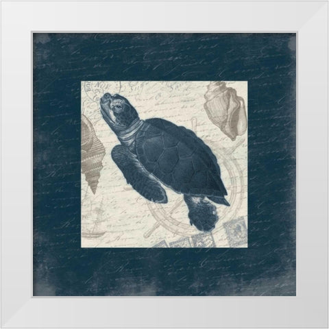 Turtle Bordered White Modern Wood Framed Art Print by Grey, Jace