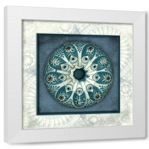 Coastal blue_ bordered White Modern Wood Framed Art Print by Grey, Jace