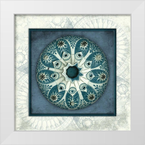 Coastal blue_ bordered White Modern Wood Framed Art Print by Grey, Jace