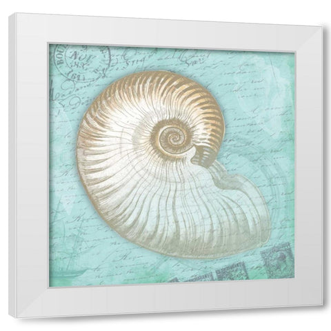Nautical Shells White Modern Wood Framed Art Print by Grey, Jace