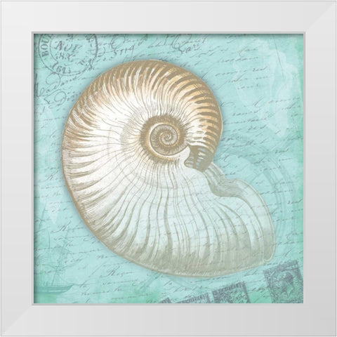 Nautical Shells White Modern Wood Framed Art Print by Grey, Jace