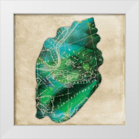Map Shell White Modern Wood Framed Art Print by Grey, Jace