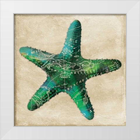 Map Starfish White Modern Wood Framed Art Print by Grey, Jace