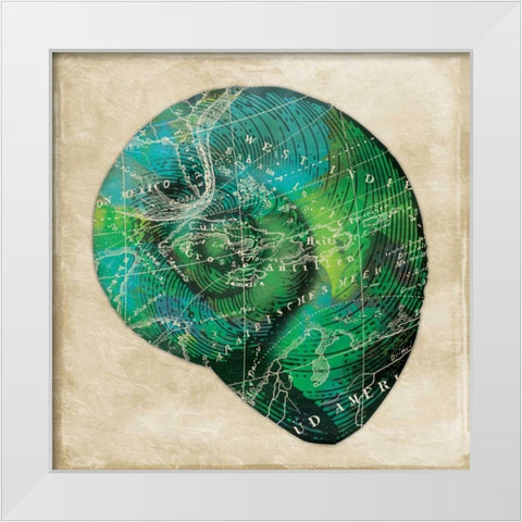 Map Shell2 White Modern Wood Framed Art Print by Grey, Jace