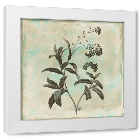 Earthy floral 2 White Modern Wood Framed Art Print by Grey, Jace
