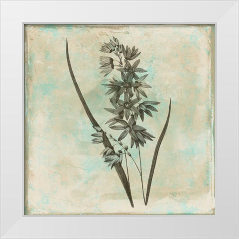 Earthy floral 3 White Modern Wood Framed Art Print by Grey, Jace