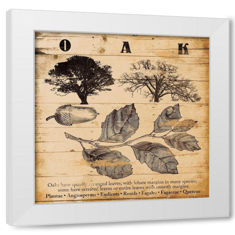 Oak Burnt White Modern Wood Framed Art Print by Grey, Jace