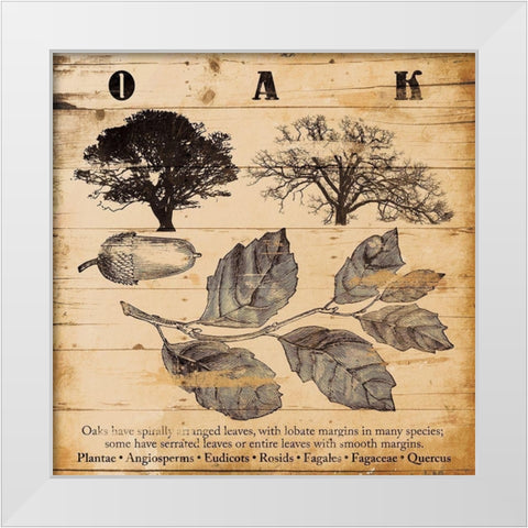 Oak Burnt White Modern Wood Framed Art Print by Grey, Jace