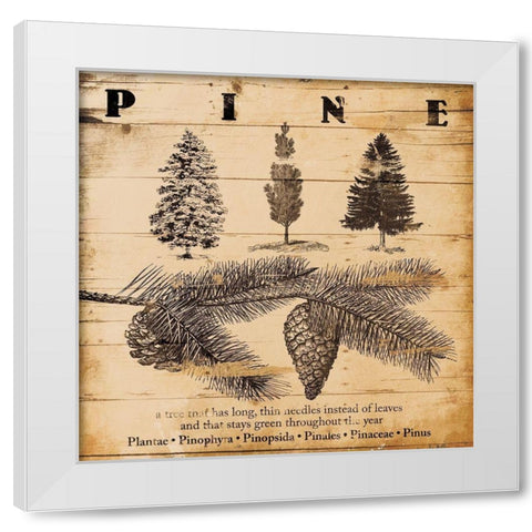 Pine Burnt White Modern Wood Framed Art Print by Grey, Jace