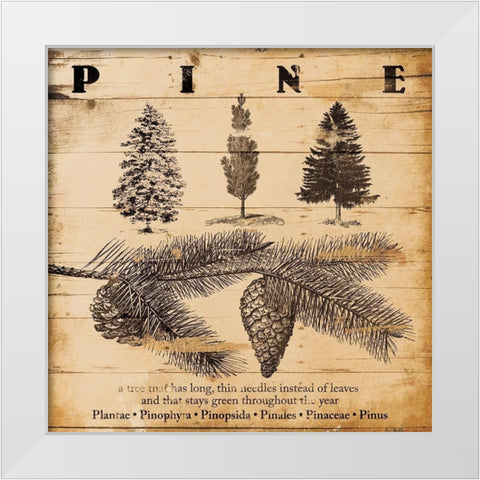 Pine Burnt White Modern Wood Framed Art Print by Grey, Jace