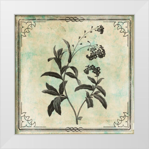 Bordered Stencil Floral White Modern Wood Framed Art Print by Grey, Jace