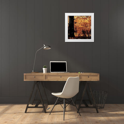 Fall Forest Mate White Modern Wood Framed Art Print by Grey, Jace