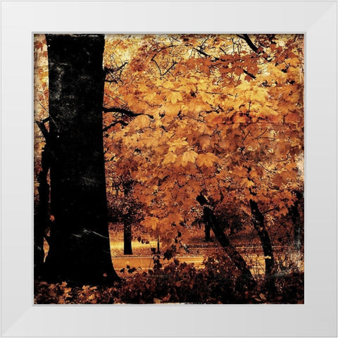 Fall Forest Mate White Modern Wood Framed Art Print by Grey, Jace
