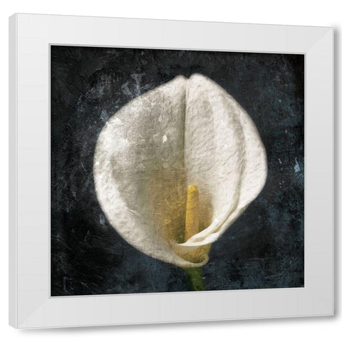 Dark Tulip White Modern Wood Framed Art Print by Grey, Jace