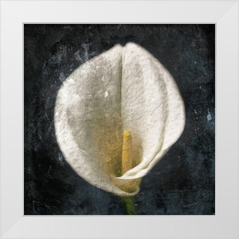 Dark Tulip White Modern Wood Framed Art Print by Grey, Jace