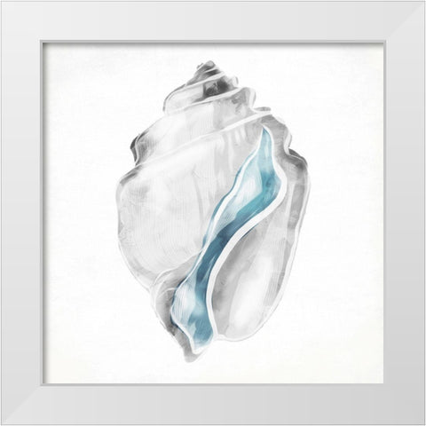 Soft Shell White Modern Wood Framed Art Print by Grey, Jace