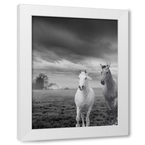 Not So Gray Times White Modern Wood Framed Art Print by Keith, Jesse