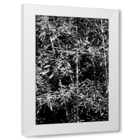 Beach Foliage 1 White Modern Wood Framed Art Print by Grey, Jace