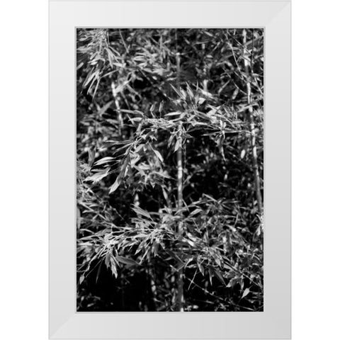Beach Foliage 1 White Modern Wood Framed Art Print by Grey, Jace