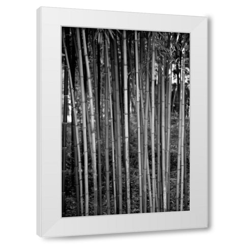 Beach Foliage 2 White Modern Wood Framed Art Print by Grey, Jace