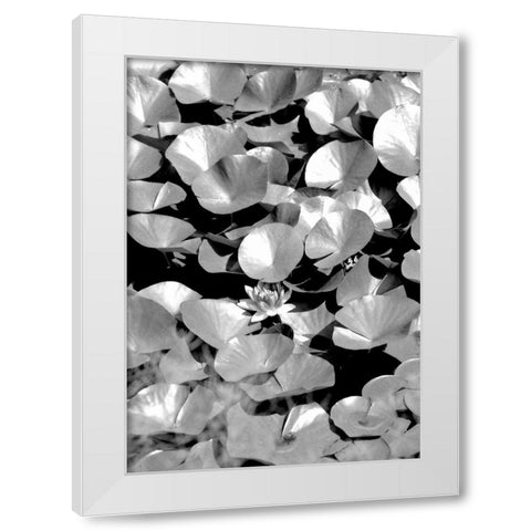 Beach Foliage 5 White Modern Wood Framed Art Print by Grey, Jace