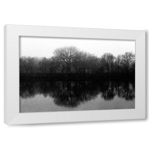 entral Park As Above So Below White Modern Wood Framed Art Print by Grey, Jace