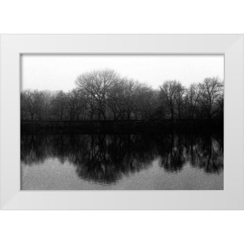 entral Park As Above So Below White Modern Wood Framed Art Print by Grey, Jace