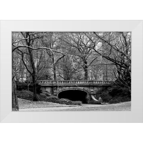 Central Park Bridge 2 White Modern Wood Framed Art Print by Grey, Jace