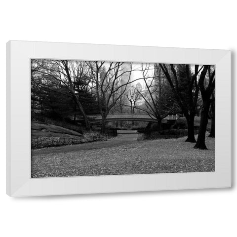 Central Park Bridge 3 White Modern Wood Framed Art Print by Grey, Jace