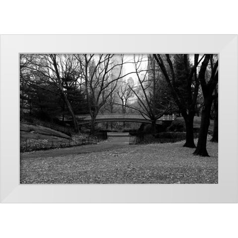Central Park Bridge 3 White Modern Wood Framed Art Print by Grey, Jace