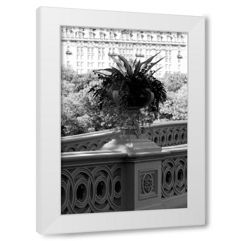 Central Park Bridge 5 White Modern Wood Framed Art Print by Grey, Jace