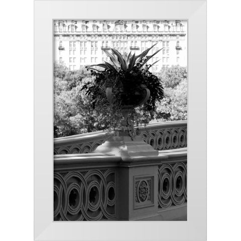 Central Park Bridge 5 White Modern Wood Framed Art Print by Grey, Jace