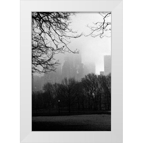 Central Park A White Modern Wood Framed Art Print by Grey, Jace
